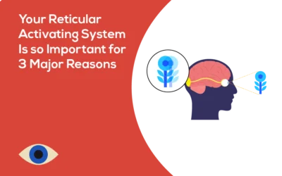Your Reticular Activating System Is So Important for 3 Major Reasons